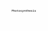 Photosynthesis. The law of conservation of mass, also known as the principle of mass/matter conservation, states that the mass of an isolated system (closed.