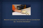 Neural Controlled Prosthetics Nerve Connection By: Victoria Danielson Neural Controlled Prosthetics Nerve Connection By: Victoria Danielson.