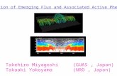 Evolution of Emerging Flux and Associated Active Phenomena Takehiro Miyagoshi (GUAS, Japan) Takaaki Yokoyama (NRO, Japan)