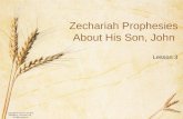 Copyright © 2013 by Standard Publishing, Cincinnati, OH. All rights reserved. Zechariah Prophesies About His Son, John Lesson 3.