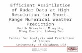 WSN05 6 Sep 2005 Toulouse, France Efficient Assimilation of Radar Data at High Resolution for Short-Range Numerical Weather Prediction Keith Brewster,