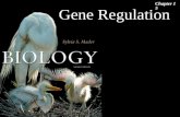 Gene Regulation Chapter 15. Gene Regulation 2 Prokaryotic Regulation:   Bacteria do not need the same enzymes and other proteins all of the time. -