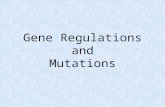 Gene Regulations and Mutations. Gene Regulation Genes are regulated differently in prokaryotic cells vs. eukaryotic cells 21,000 genes in the human genome.