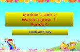 Module 1 Unit 2 Watch it grow ！ Period 1 Look and say.