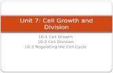 10-1 Cell Growth 10-2 Cell Division 10-3 Regulating the Cell Cycle Unit 7: Cell Growth and Division.