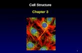 1 Cell Structure Chapter 3. 2 Cell Theory All organisms are composed of one or more cells. Cells are the smallest living units of all living organisms.