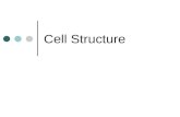 Cell Structure. The Cell ESSENTIAL to the study of biology Simplest form of life Every organism’s basic unit of structure and function Named by Robert.