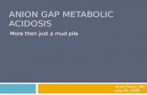 ANION GAP METABOLIC ACIDOSIS More then just a mud pile Anne Peery, MD July 29, 2008.