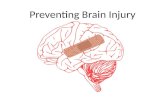 Preventing Brain Injury. Created For You By: Brandon Cook Zel Wilson Emma Fillebrown At No Limits Eastern Shore  Please feel.