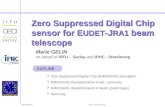 CEA DSM Irfu 20 th october 2008 EuDet Annual Meeting Marie GELIN on behalf of IRFU – Saclay and IPHC - Strasbourg Zero Suppressed Digital Chip sensor for.