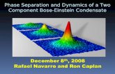 Phase Separation and Dynamics of a Two Component Bose-Einstein Condensate.