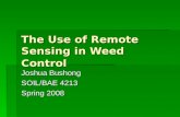 The Use of Remote Sensing in Weed Control Joshua Bushong SOIL/BAE 4213 Spring 2008.