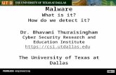 Reactively Adaptive Malware What is it? How do we detect it? Dr. Bhavani Thuraisingham Cyber Security Research and Education Institute .