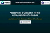 NCOF Development Workshop 2008 Assessments of Ecosystem Models using Assimilation Techniques John Hemmings, Peter Challenor, Ian Robinson & Tom Anderson.