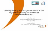 Development of a multi-species model in the Bay of Biscay using the modelling environment GADGET Workshop on “Ecosystem Based Fisheries Management – State.