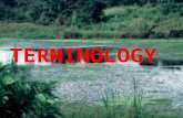 TERMINOLOGY. 1. Ecology The study of how organisms interact with their environment and each other.