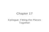 Chapter 17 Epilogue: Fitting the Pieces Together.