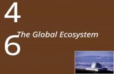 The Global Ecosystem 46. Concept 46.1 Climate and Nutrients Affect Ecosystem Function Ecosystem—an ecological community plus the abiotic environment with.