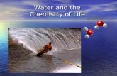Water and the Chemistry of Life Marybeth Gardner FBISD Science specialist 2007 Water and the Chemistry of Life Marybeth Gardner FBISD Science specialist.