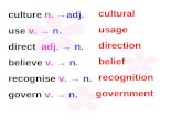 Culture n. →adj. use v. → n. direct adj. → n. believe v. → n. recognise v. → n. govern v. → n. cultural usage direction belief recognition government.