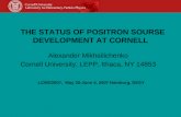 THE STATUS OF POSITRON SOURSE DEVELOPMENT AT CORNELL Alexander Mikhailichenko Cornell University, LEPP, Ithaca, NY 14853 LCWS2007, May 30-June 4, 2007.