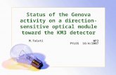 Status of the Genova activity on a direction-sensitive optical module toward the KM3 detector M.Taiuti WP3 PYLOS 16/4/2007.