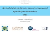 Retrieval of phytoplankton size classes from hyperspectral light absorption measurements WP7 Emanuele O RGANELLI organelli@obs-vlfr.fr BIOCAREX Meeting.
