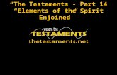 “The Testaments”- Part 14 “Elements of the Spirit Enjoined”