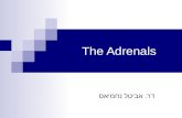 The Adrenals דר. אביטל נחמיאס. The Adrenals Structure and function Cortex  Hypofunction – Addison  Hyperfunction – Cushing Adrenal incidentaloma.