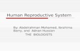 Human Reproductive System By: Abdelrahman Mohamed, Ibrahima Barry, and Adnan Hussian THE BIOLOGISTS.