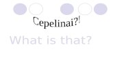 What is that?. Cepelinai - Often considered the Lithuanian national dish, cepelinai are potato dumplings stuffed with meat, cheese or mushrooms. They.