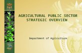 DEPARTMENT: AGRICULTURE AGRICULTURAL PUBLIC SECTOR STRATEGIC OVERVIEW Department of Agriculture.
