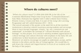 "Where do cultures meet?"11-PM-1042-SM-TR is the title of the Comenius Multilateral Project that Grup Scolar "Constantin Brancusi", Satu Mare, Romania.