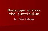 Bugscope across the curriculum By: Mike Zuleger. Before/ real thing This picture is pretty basic, I was trying to draw a bee with 2 sets of wings closely.