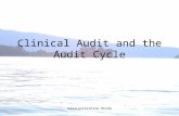 Gloucestershire PCCAG Clinical Audit and the Audit Cycle.