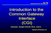 CSU - DEO Introduction to CGI - Fort Collins, CO Copyright © XTR Systems, LLC Introduction to the Common Gateway Interface (CGI) Instructor: Joseph DiVerdi,