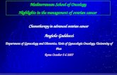 Chemotherapy in advanced ovarian cancer Angiolo Gadducci Department of Gynecology and Obstetrics, Unit of Gynecologic Oncology, University of Pisa Rome.