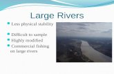 Large Rivers Less physical stability Difficult to sample Highly modified Commercial fishing on large rivers.
