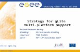 INFSO-RI-508833 Enabling Grids for E-sciencE  Strategy for gLite multi-platform support Author:Eamonn Kenny Meeting:SA3 All Hands Meeting.