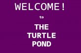 WELCOME! to THE TURTLE POND. Little River Elementary School 2013 - 2014 M RS. G UNTER ’ S F OURTH G RADE C LASS.