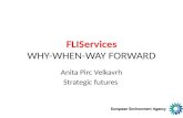 FLIServices WHY-WHEN-WAY FORWARD Anita Pirc Velkavrh Strategic futures.
