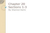 Chapter 20 Sections 1-3 By: Shannon Harris. Astronomical Unit The average distance between the earth and the sun.