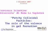 3 Dicembre 2007 Firenze Francesco Sciortino Universita’ di Roma La Sapienza “Patchy Colloidal Particles: The role of the valence in gel formation Introduzione.