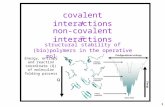 Covalent interactions non-covalent interactions + = structural stability of (bio)polymers in the operative molecular environment 1 Energy, entropy and.