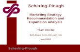 Schering-Plough Marketing Strategy Recommendation and Expansion Analysis Team Acción: Beth, Diane, Kevin, Don, and Felix April 2006 Schering-Plough.