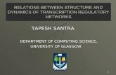 1 RELATIONS BETWEEN STRUCTURE AND DYNAMICS OF TRANSCRIPTION REGULATORY NETWORKS TAPESH SANTRA TAPESH SANTRA DEPARTMENT OF COMPUTING SCIENCE, DEPARTMENT.