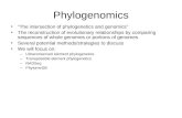 Phylogenomics “The intersection of phylogenetics and genomics” The reconstruction of evolutionary relationships by comparing sequences of whole genomes.