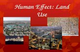 Human Effect: Land Use. Urbanization Physical growth of urban areas as result of rural migration Currently more people living in urban areas than rural.