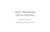 HACT Workshop CAS in Calculus Bekki George bekki@math.uh.edu.