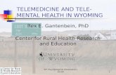 1 TELEMEDICINE AND TELE-MENTAL HEALTH IN WYOMING Rex E. Gantenbein, PhD Center for Rural Health Research and Education WY Psychological Association 10-09.